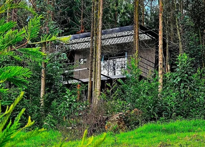 Cabana En Tabio